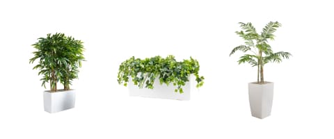 Office Plants, Desktop & Floorstanding. Artificial Trees, Plants & Ivy.